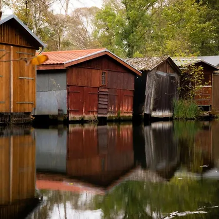 Feriehus Kugelhaus Selene - Ruhiger Rueckzugsort In Sanfter Architektur Wustrow (Penzlin)